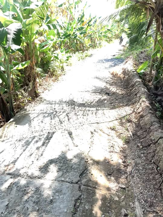 Đất nông nghiệp An Thạnh, Cần Thơ 6000m² giá 1.5 tỷ - Cơ hội đầu tư hấp dẫn!