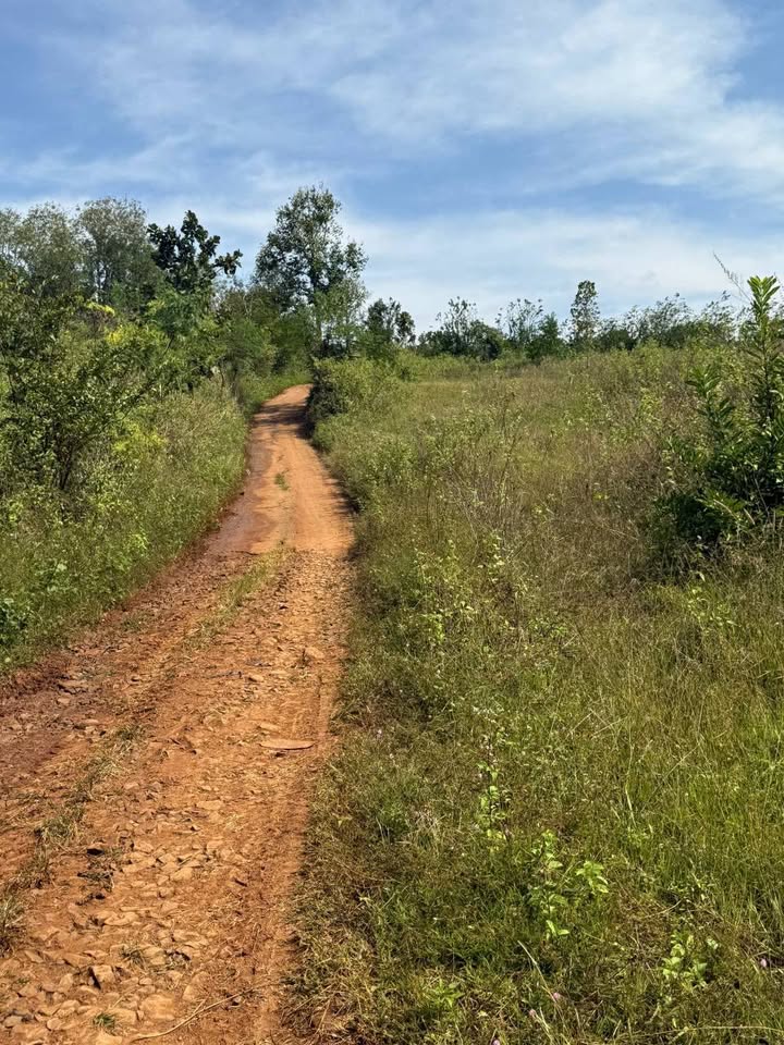 Lô đất rẫy 1,2ha tại xã Ea Khal, Đắk Lắk - Giá chỉ 850 triệu!