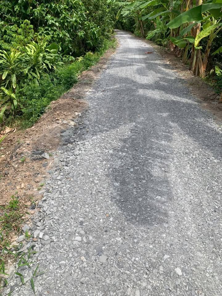 Đất nông nghiệp 6200m² xã Cái Ngang, Vĩnh Long - Đường xe hơi vào tận nơi!