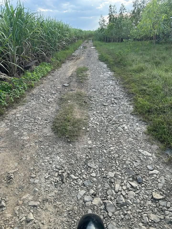 Đất nông nghiệp Ninh Hòa 7200m² giá 295 triệu - Thích hợp làm vườn, trang trại!