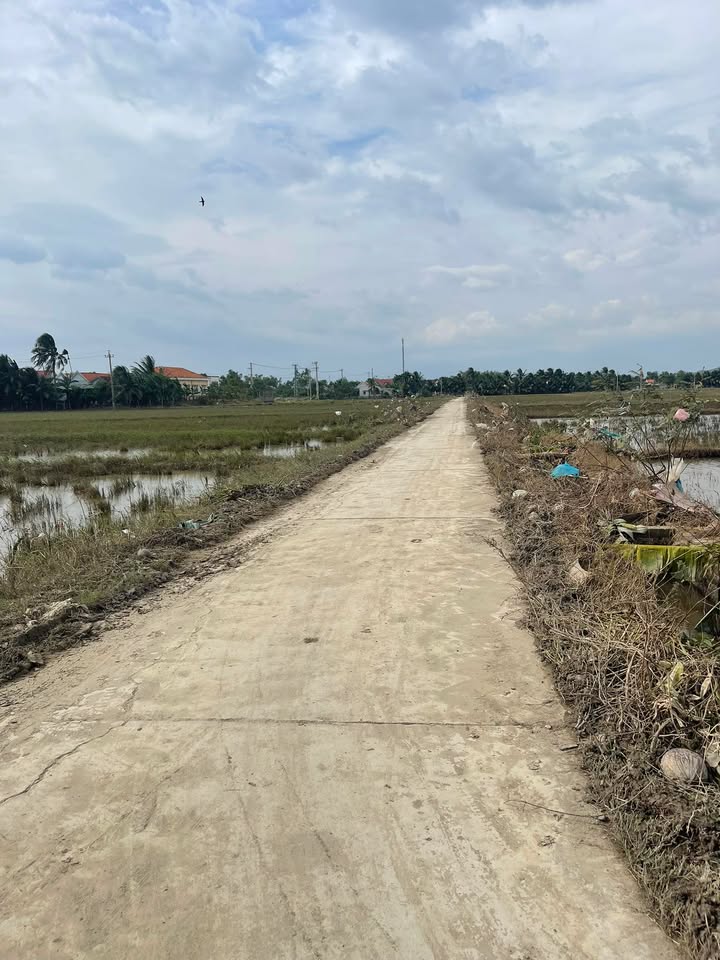 Đất nông nghiệp Hòa Thắng 10,800m² giá 810 triệu - Cơ hội đầu tư hấp dẫn!