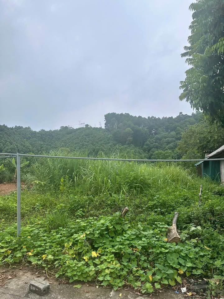 Bán đất Lào Cai 100m² giá 1.05 tỷ - Vị trí đắc địa gần bưu điện