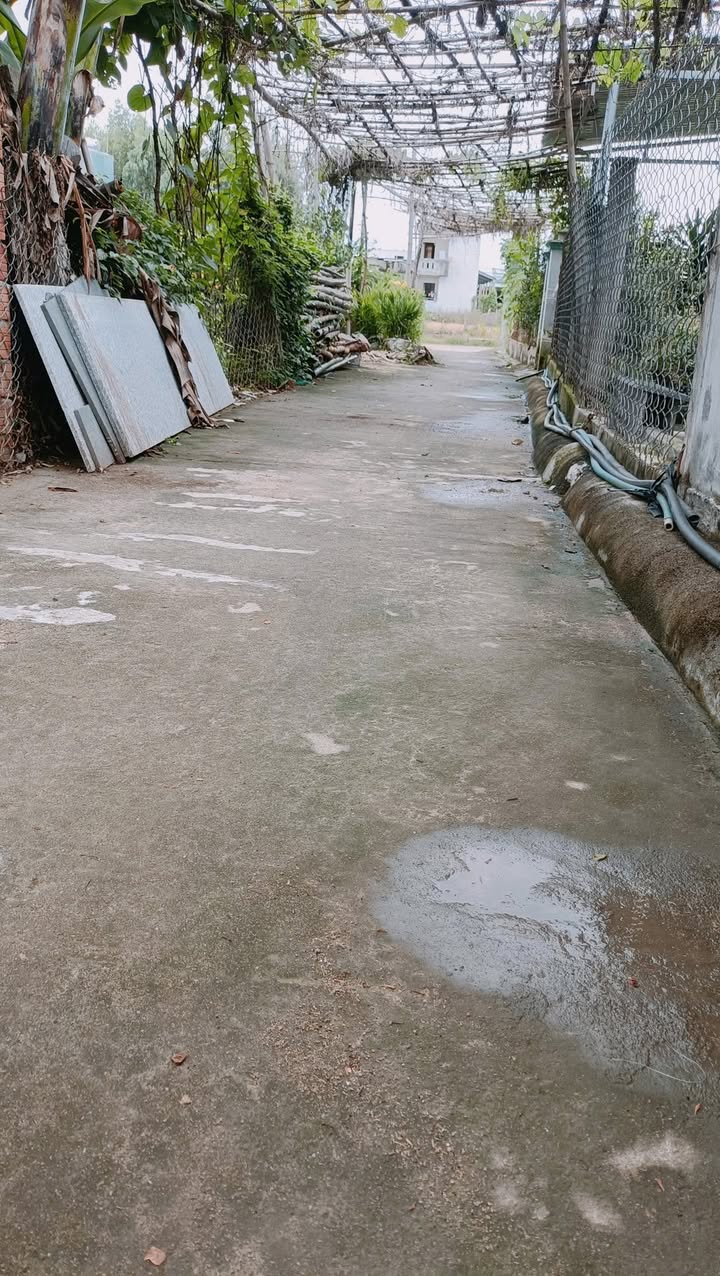 Đất nền Phước Hiệp - Tuy Phước 83m² giá chỉ 3xx triệu - Sổ hồng riêng, vị trí đẹp!