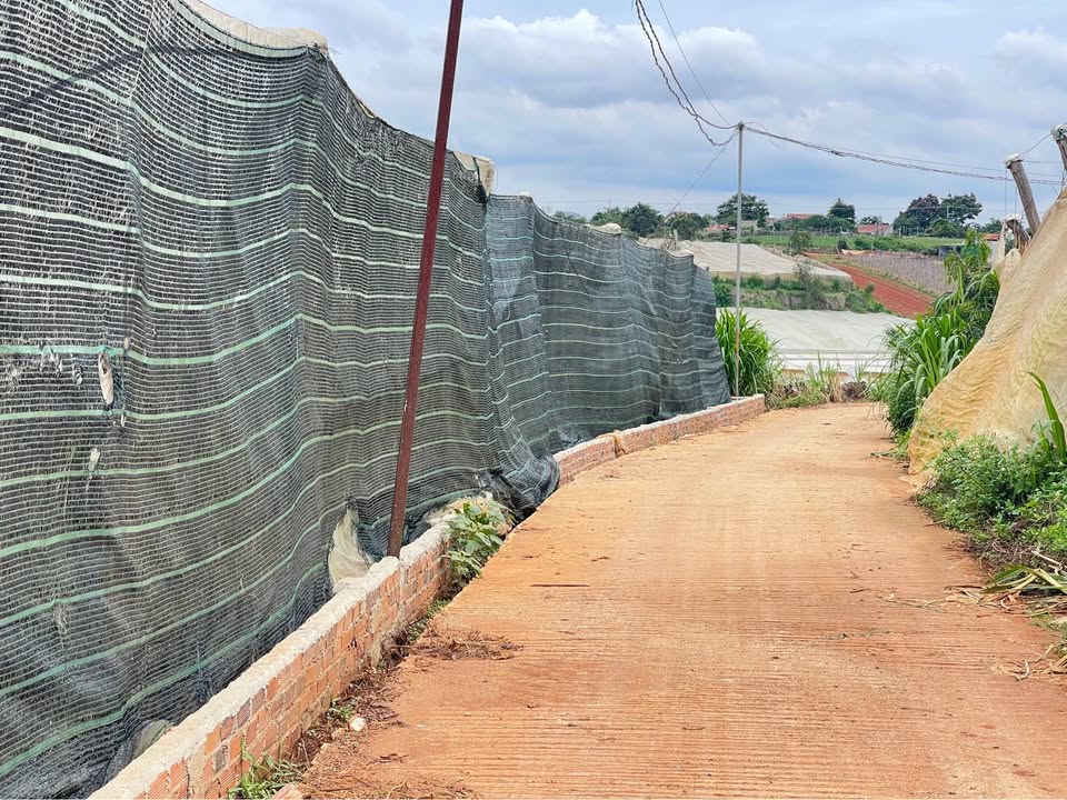 Đất nền Đơn Dương 1409m² giá 1.6 tỷ - Cơ hội đầu tư hấp dẫn!