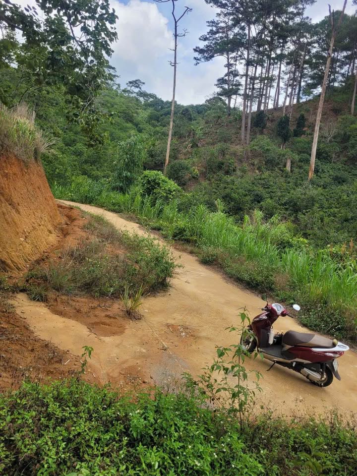 Đất vườn 1078m² tại D'Ran, Đơn Dương chỉ 350 triệu - Lợi nhuận cao cho đầu tư!