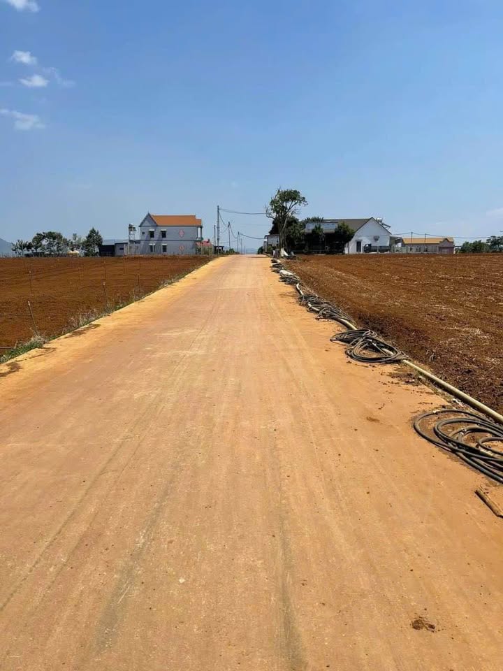 Đất nền F0 tại thị trấn Liên Nghĩa, Đức Trọng, Lâm Đồng - 200m² giá chỉ 1.4 tỷ!