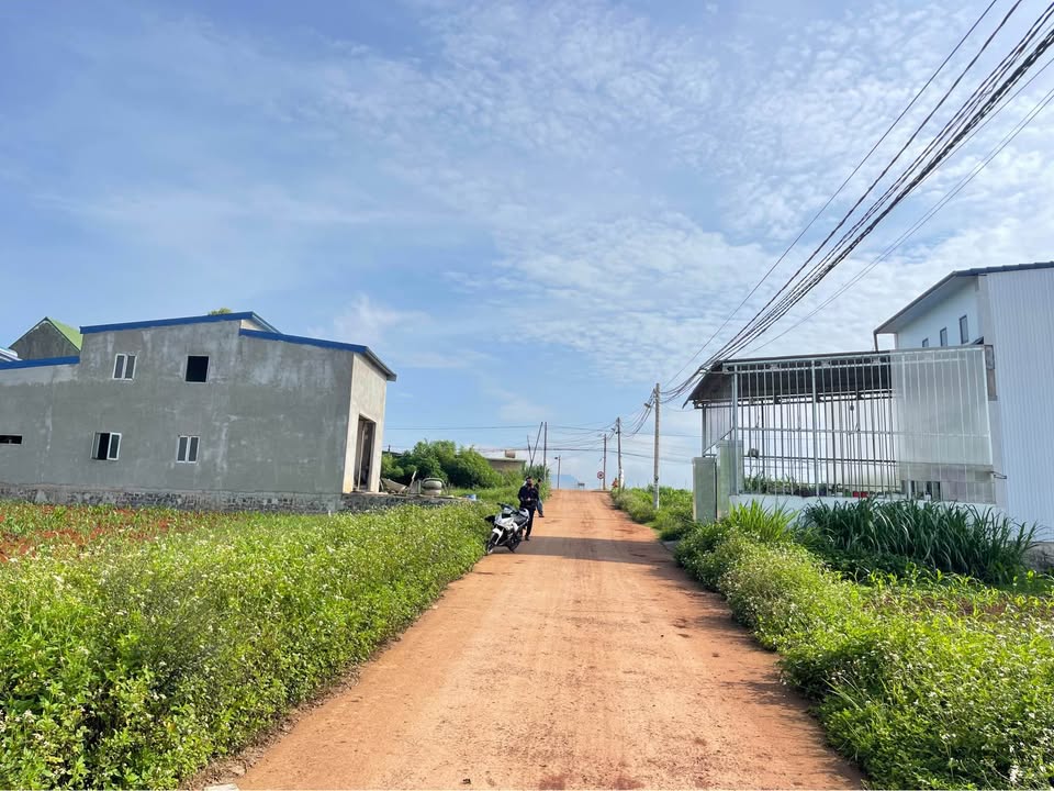 Đất thổ cư Bồng Lai 115m² giá 730 triệu - Sổ hồng riêng, pháp lý rõ ràng!