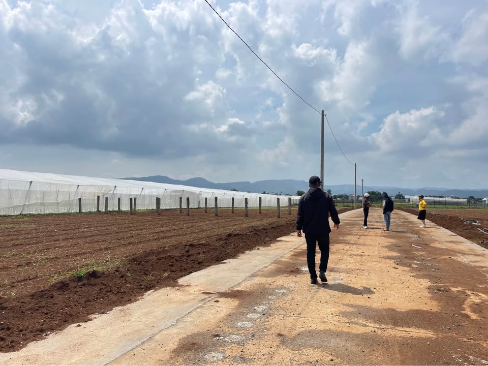 Đất nền Liên Nghĩa Đức Trọng 200m² giá 1.4 tỷ - Sổ hồng chính chủ, đầu tư sinh lời!