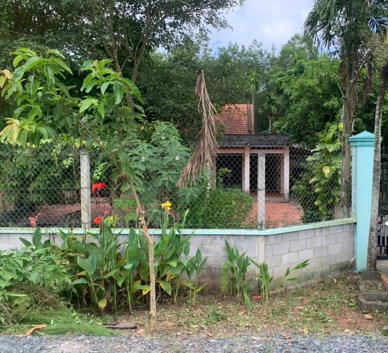 Nhà vườn Củ Chi 1063m² giá 6.4 tỷ - Tiềm năng phát triển cao!