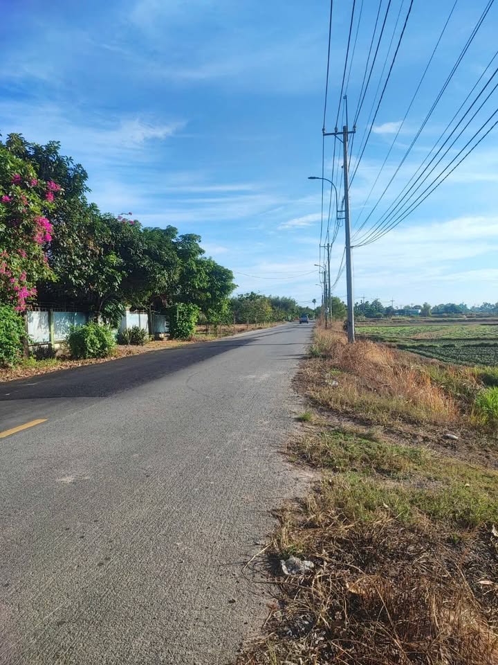 Đất vườn Củ Chi 1374m² mặt tiền Võ Văn Điều - Giá thỏa thuận hấp dẫn!