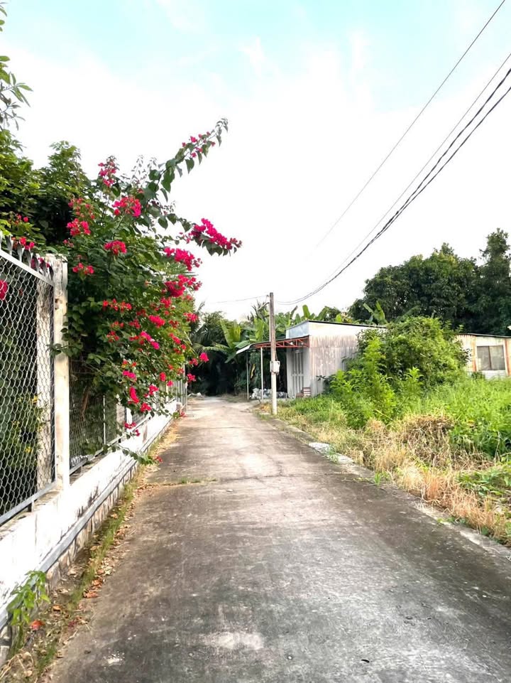 Nhà cho thuê Phú Khương Bến Tre 2 phòng ngủ giá chỉ 3.5 triệu/tháng - Không thể bỏ lỡ!