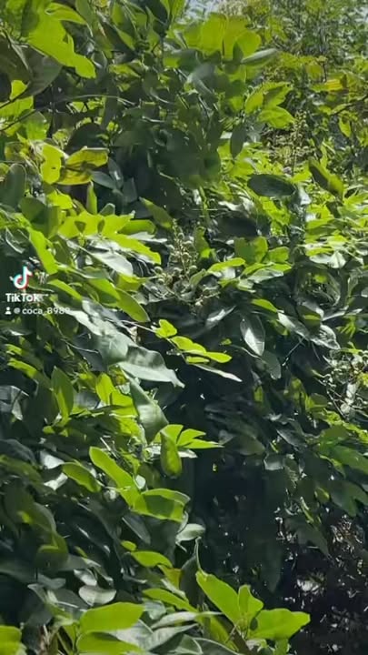 Đất nền Hiệp Thành 877,7m² giá 10 tỷ - Đầu tư sinh lời ngay!