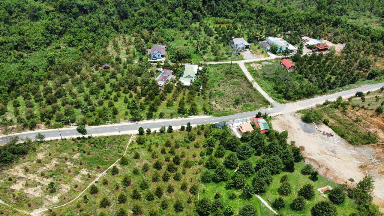 Đất nền Phước Lộc, Đạ Huoai 253m² giá chỉ 1,x triệu/m² - Cơ hội đầu tư hiếm có!