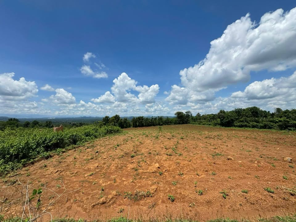 Đất nền 1,2 Ha tại Ea Kao, Buôn Ma Thuột giá 5,52 tỷ - Ô tô vào tận nơi!