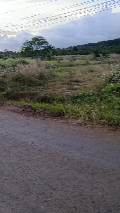 Đất nền 1350m² xã Ea Khal, huyện Ea H'leo - Giá chỉ 1.364 tỷ, đầu tư sinh lời!