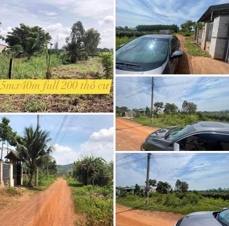 Lô đất 200m² tại Tân Nghĩa, Hàm Tân - Giá chỉ 900 triệu, sổ đỏ chính chủ!