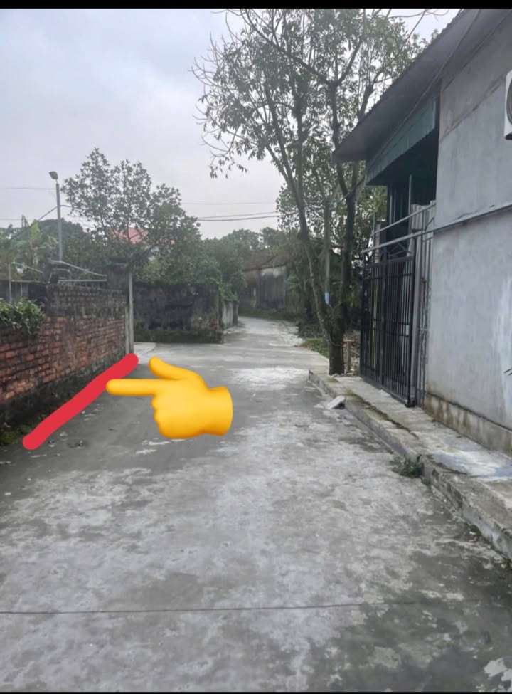 Đất nền Tam Thanh Vụ Bản 120m² giá chỉ 10xx triệu - Đầu tư sinh lời ngay!