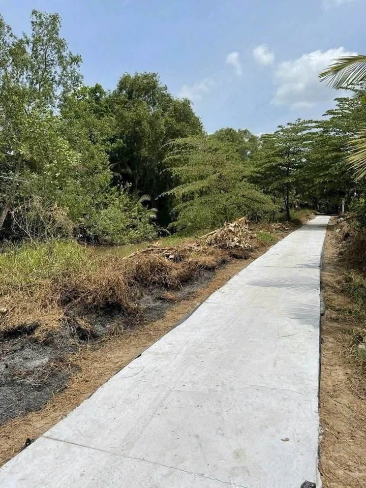 Đất nền Mỹ Thạnh Trung 125m² giá chỉ 160 triệu - Sổ hồng chính chủ!