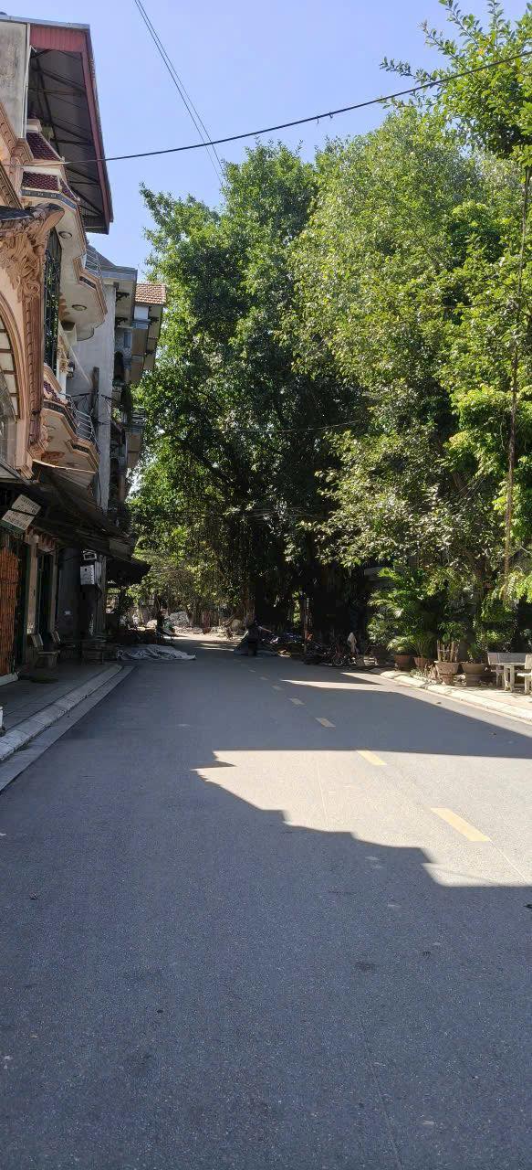 Đất nền phường Đồng Kỵ 50m² giá 1.7 tỷ - Cơ hội đầu tư hấp dẫn!