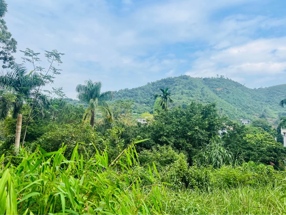 Bán đất Yên Xuân, Thạch Thất 3.824m² - Tiềm năng cao cho đầu tư