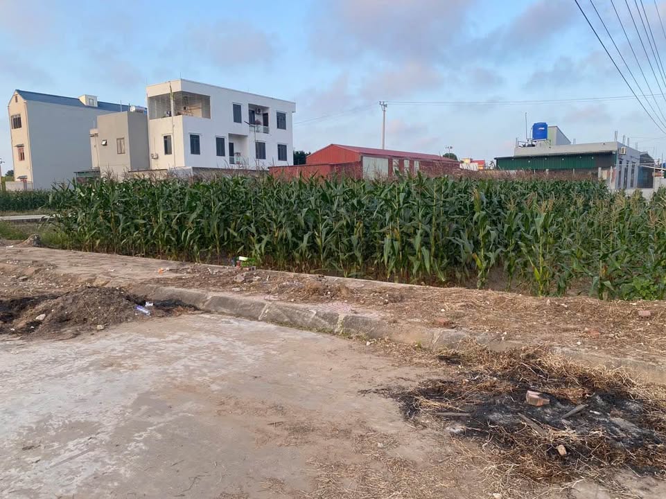 Bán lô đất biệt thự 266m² tại Diêm Điền, Thái Bình - Giá thỏa thuận, sổ đỏ chính chủ!