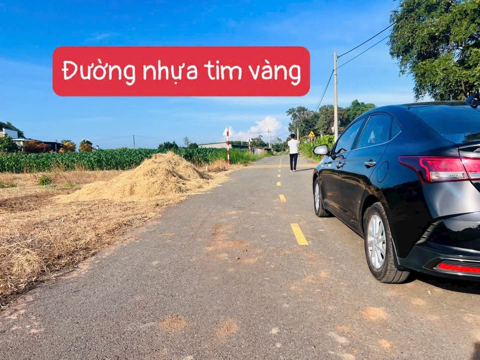 Đất nền Đất Đỏ 613m² giá 1.5 tỷ - Đầu tư sinh lợi cao!