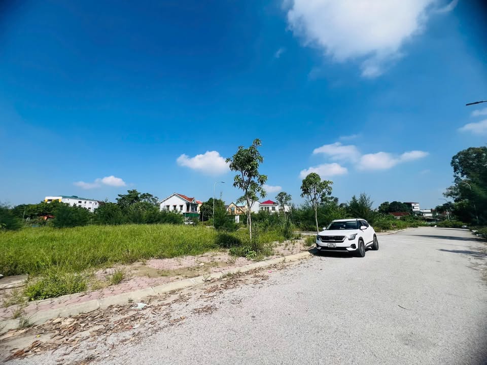 Đất đấu giá Quán Bàu Vinh 141.8m² giá 5.79 tỷ - Xây dựng tự do