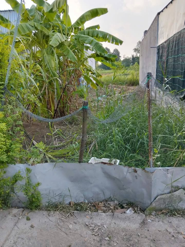 Đất nền đường Bùi Viện, phường Vĩnh Lợi, 126m² giá 485 triệu - Cơ hội đầu tư hấp dẫn!