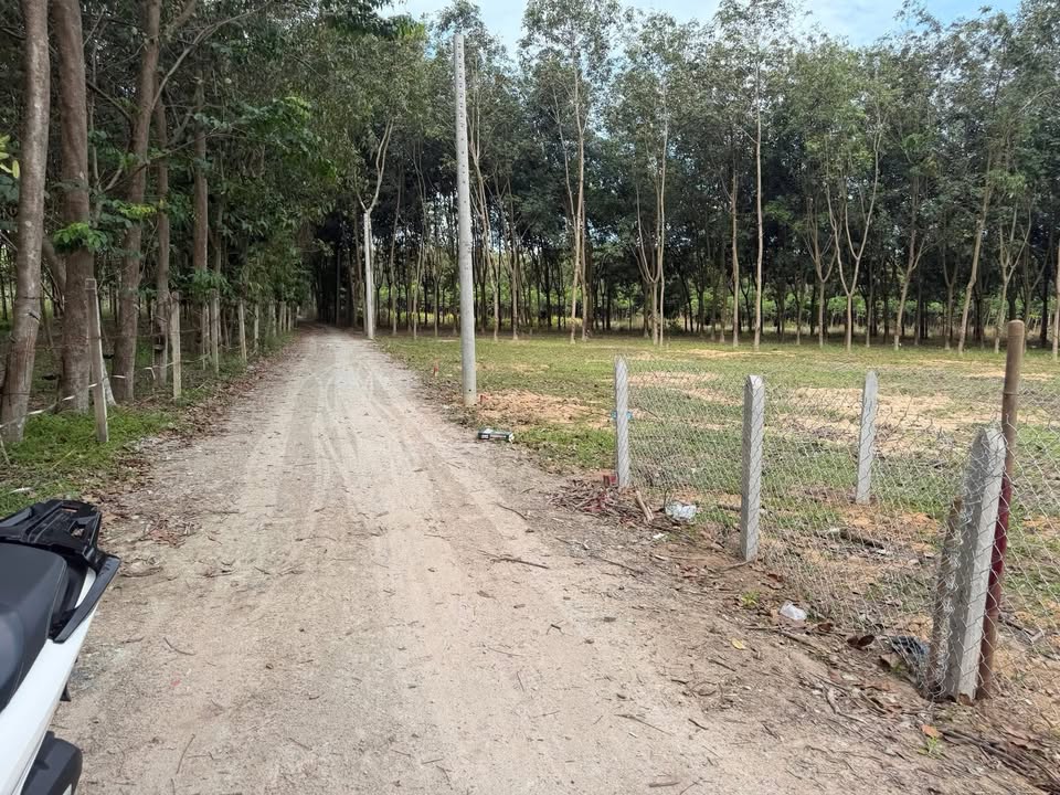 Đất nền Vĩnh Tân, Tân Uyên 1000m² giá 2 tỷ - Pháp lý rõ ràng, đầu tư sinh lời!