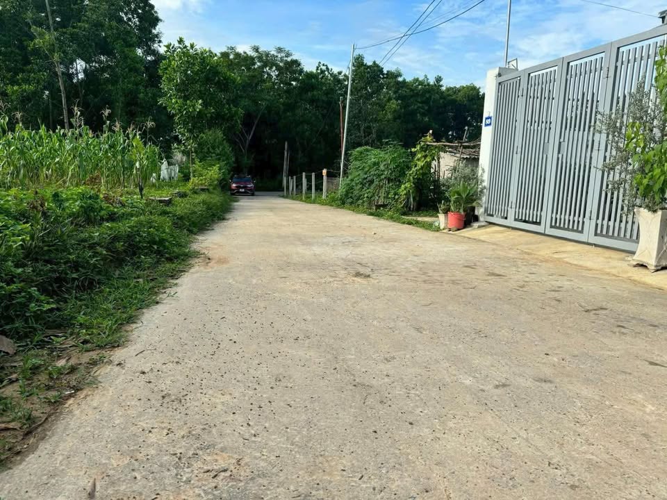 Đất nền 167m² phường Tùng Thiện - Giá chỉ 1.1 tỷ, đầu tư sinh lời!