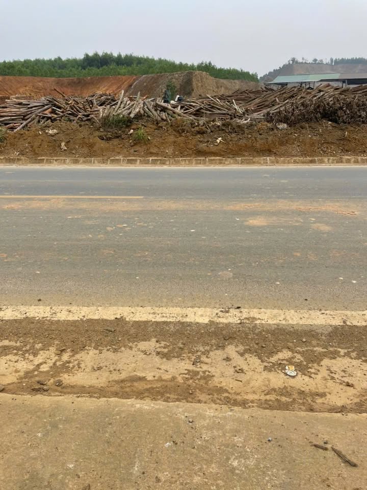 Đất mặt đường HCM, Thanh Thủy 100m² giá 2.2 tỷ - Cơ hội đầu tư kinh doanh lý tưởng!