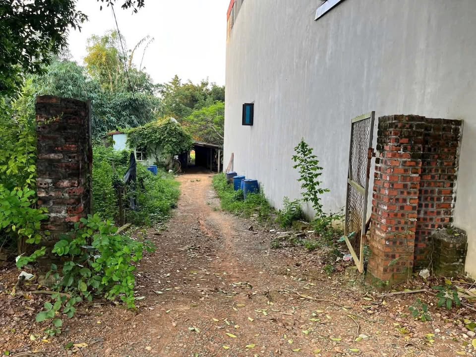 Đất nền mặt đường 416 Sơn Tây 80m² chỉ 3 tỷ - Đầu tư sinh lời ngay!