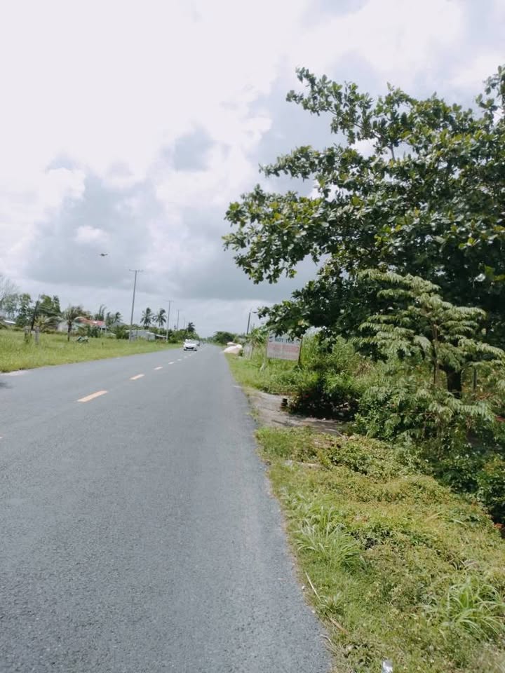 Đất nền mặt tiền Quốc lộ 1A, xã Hưng Mỹ, 5000m² giá 1.9 tỷ - Cơ hội đầu tư lý tưởng!