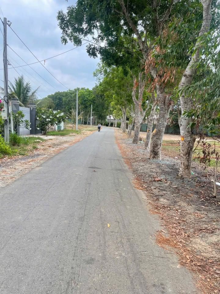 Đất nền mặt tiền Nguyễn Thị Lan, Củ Chi 332m² giá 1.45 tỷ - Cơ hội đầu tư đắc địa!