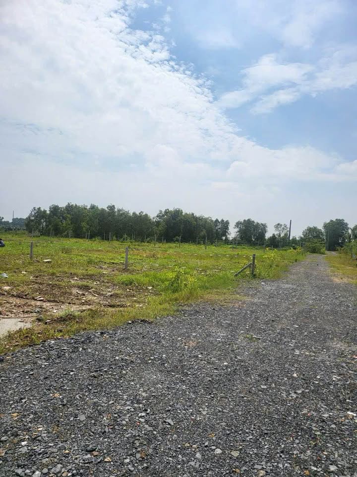 Đất nền Tân Thạnh Đông, Củ Chi 910m² giá 1 tỷ - Đầu tư lý tưởng!