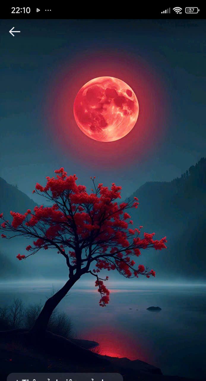 Nhà cho thuê hẻm Nguyễn Thiện Thuật, Quận 3 - 33m² giá 8 triệu, ngay trung tâm!