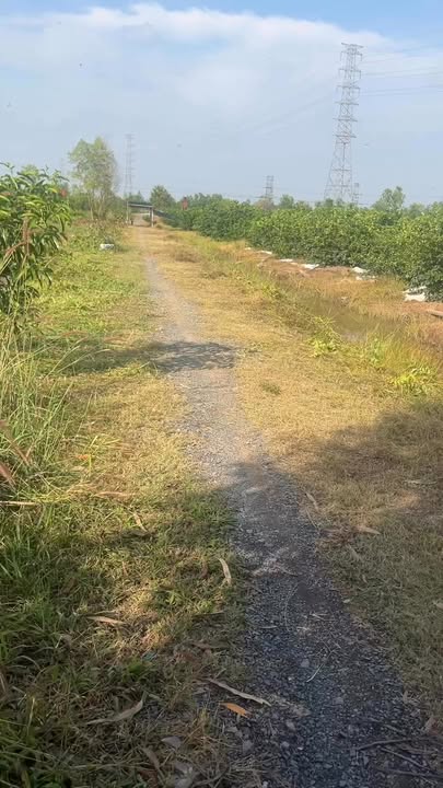 Đất vườn Thạnh Hòa Bến Lức 500m² giá 380 triệu - Đất chính chủ, ô tô vào tận nơi!