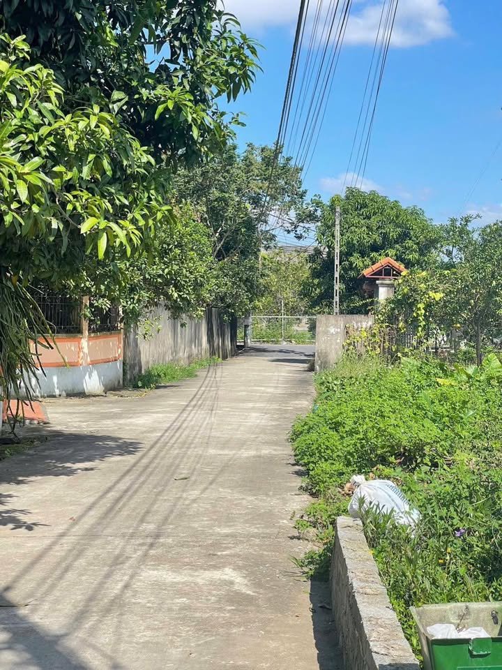 Nhà riêng Chương Dương Thường Tín 70m² - Mặt tiền rộng, giao thông thuận tiện!