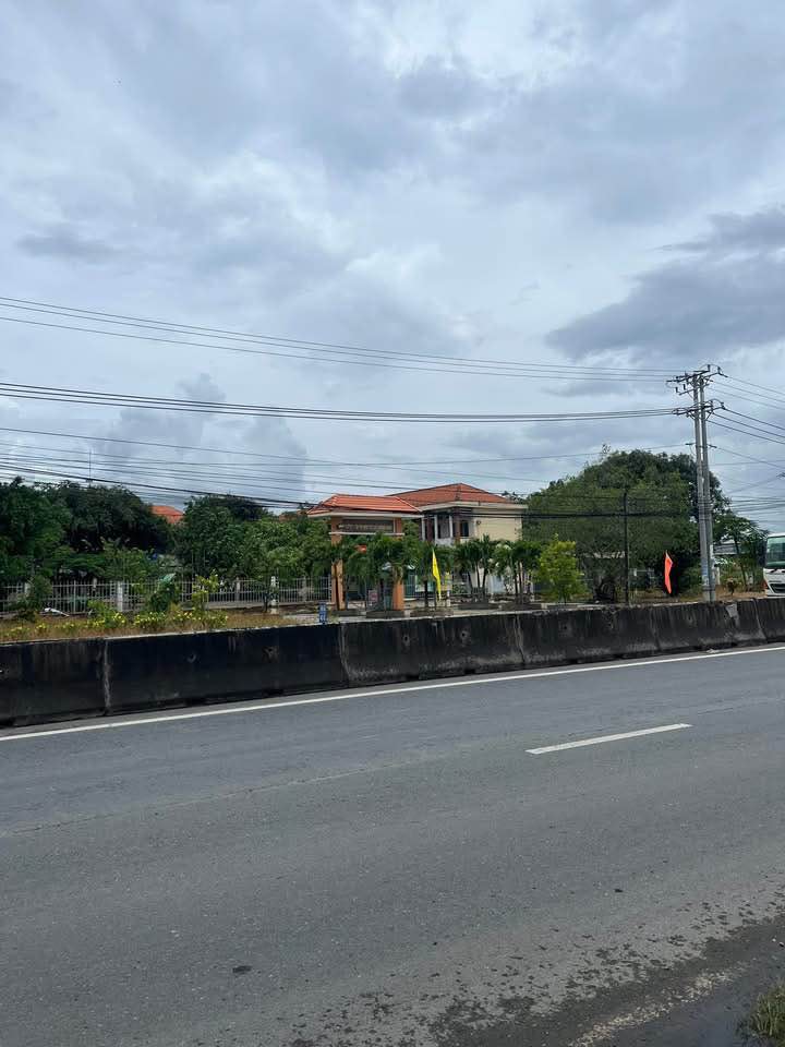 Đất Mặt Tiền ĐT830, Lương Bình, Bến Lức 2100m² giá 15 tỷ - Đầu tư sinh lời ngay!