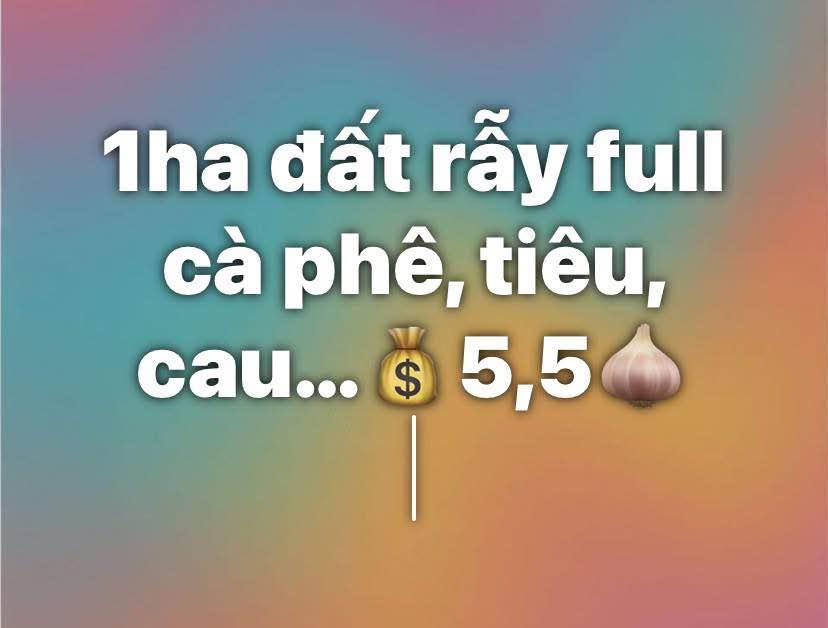 Đất nền Hòa Thắng - Buôn Ma Thuột 10,000m² giá 5.5 tỷ - Cơ hội đầu tư tuyệt vời!