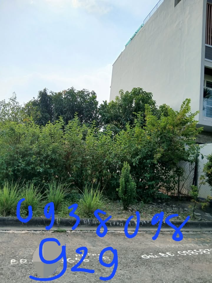 Đất dự án Phú Nhuận 1 phường Cát Lái 129.5m² giá 22.663 tỷ - Đầu tư sinh lời ngay!