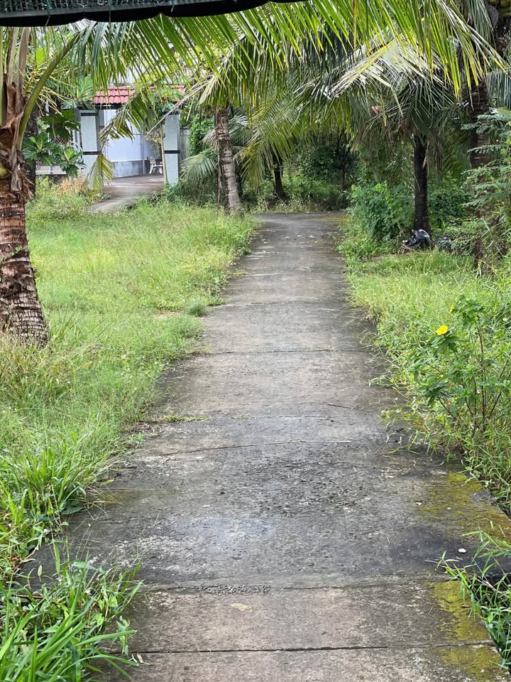 Nhà và đất Tiên Thủy, Châu Thành 723m² giá 1.2 tỷ - Bán gấp, thương lượng ngay!