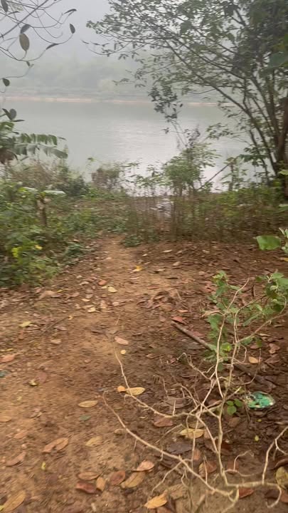 Lô đất bám hồ 2307m² tại Chi Nê, Lạc Thủy - Đầu tư tiềm năng giá chỉ 6.921 tỷ