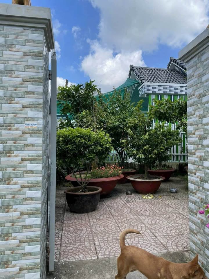 Nhà riêng Phường Thanh Đức, Vĩnh Long 131.8m² giá 800 triệu - Mới và thoáng mát!