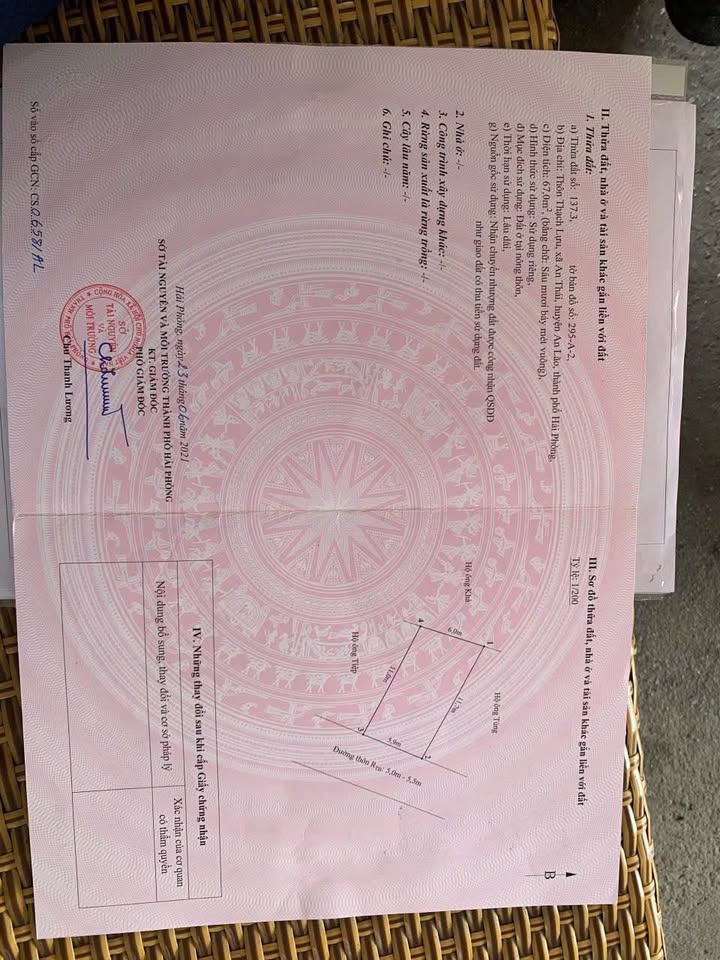 Đất nền thôn Thạch Lựu, An Thái 67m² giá 1 tỷ - Tiềm năng lớn cho đầu tư!