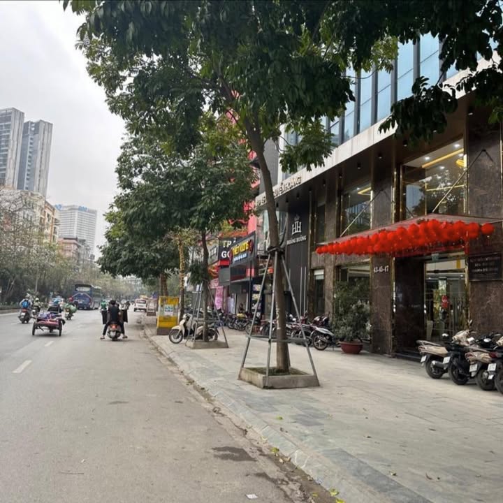 Nhà phố Cầu Giấy 40m² giá 11.5 tỷ - 9 phòng ngủ cho thuê