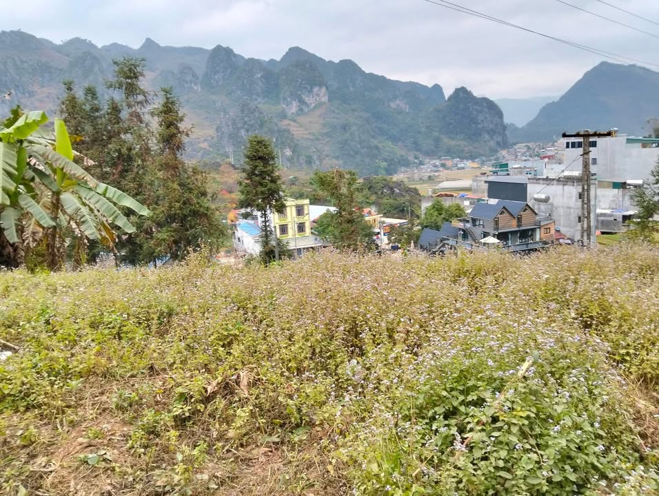 Đất 2 mặt tiền tại thị trấn Đồng Văn 970m² - Cơ hội đầu tư hiếm có!