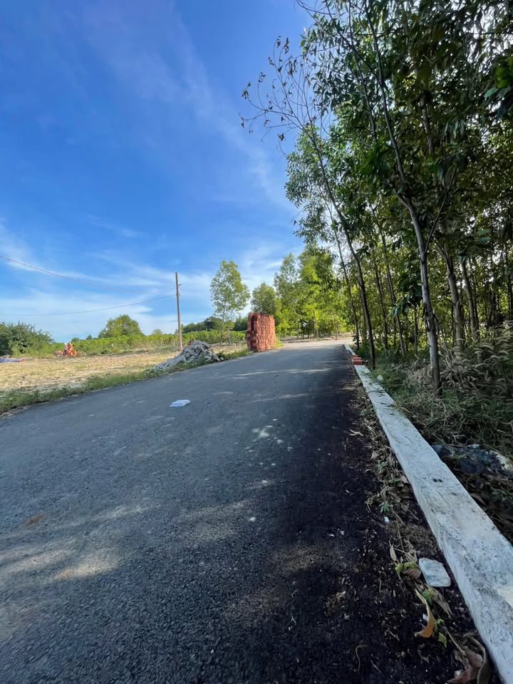 Đất nền Tam Phước, Long Điền 125m² giá 700 triệu - Cơ hội đầu tư tuyệt vời!