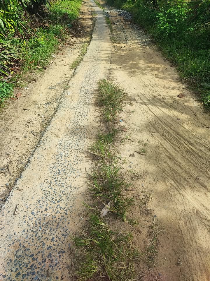 Đất vườn Hòa Nam, Di Linh 460m² giá 2.2 tỷ - Cơ hội đầu tư hấp dẫn!