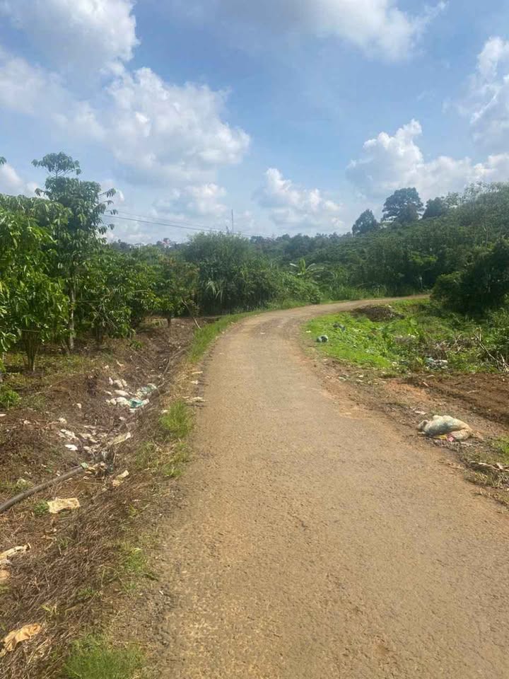 Đất thổ cư 400m² tại Thôn 1 Lộc An 3774m² giá 6.8 tỷ - Mặt tiền kinh doanh tuyệt đẹp!